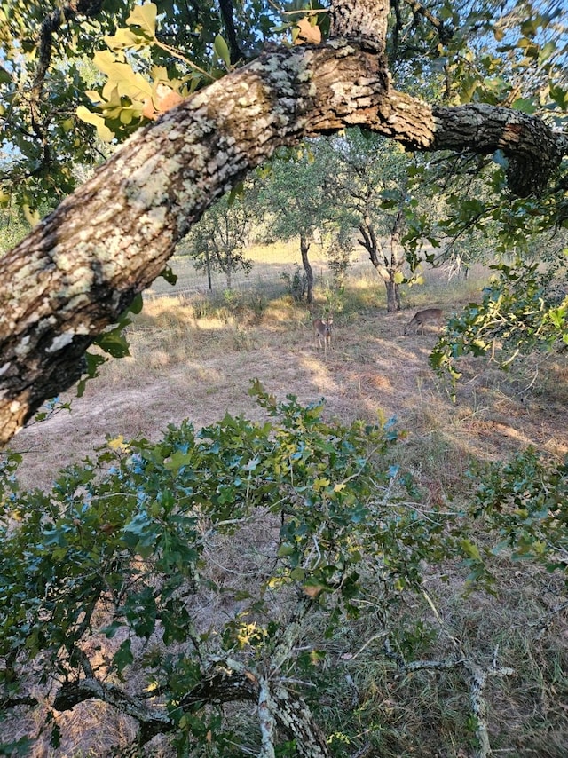 000 Sandy Creek Rd, Garwood, TX 77442 - photo 20