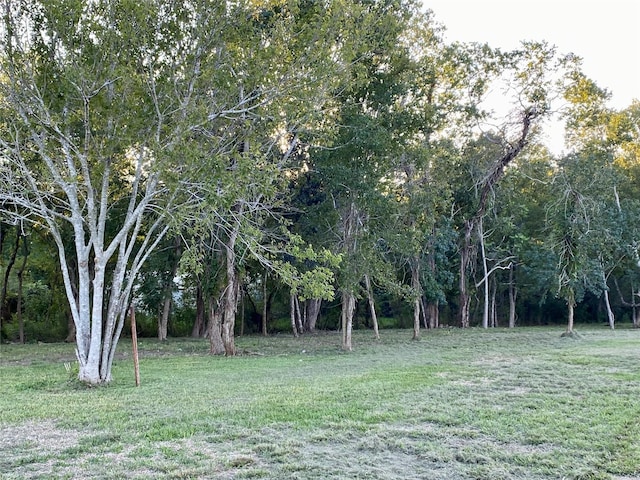2609 Hughes Rd, Dickinson, TX 77539 - photo 34