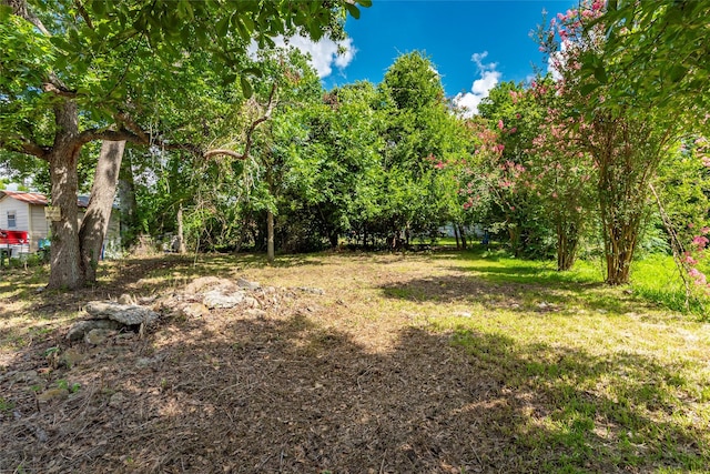 1030 Reverend B J Lewis Dr, Houston, TX 77088 - photo 4