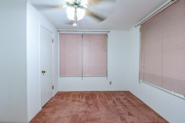 4415 Avenue S, Galveston, TX 77550 - photo 19
