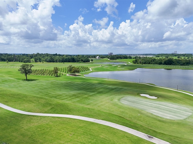 10030 Lehman Dr, Willis, TX 77318 - photo 5