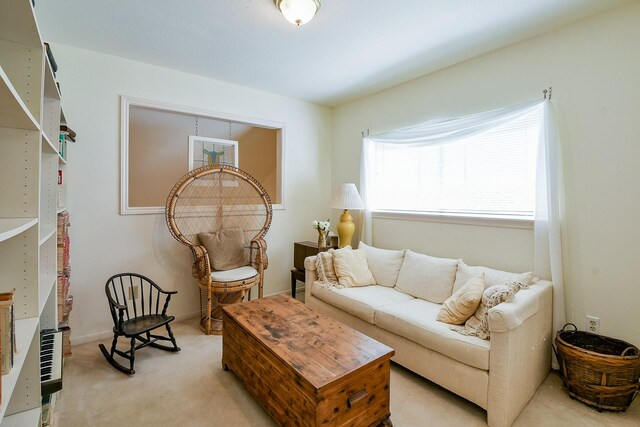 15242 Ensenada Dr, Houston, TX 77083 - photo 28