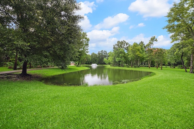 5518 August Hill Dr, Kingwood, TX 77345 - photo 27