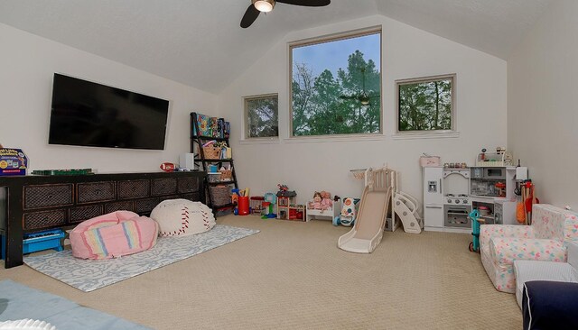 15 Millwright Pl, The Woodlands, TX 77382 - photo 25