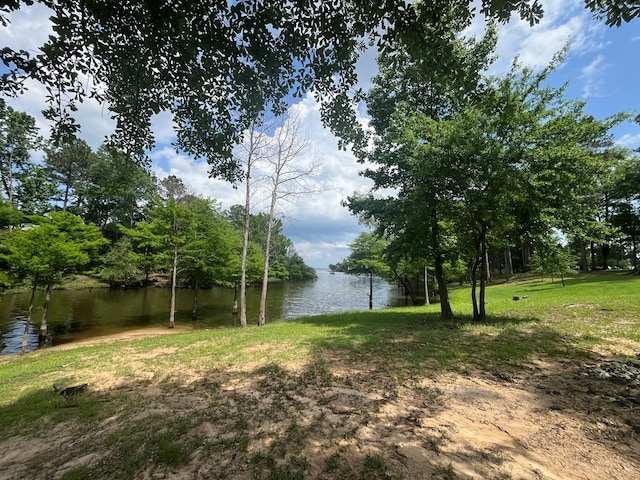 LOT1 Perrysman Glaze Rd, Huntington, TX 75949 - photo 4