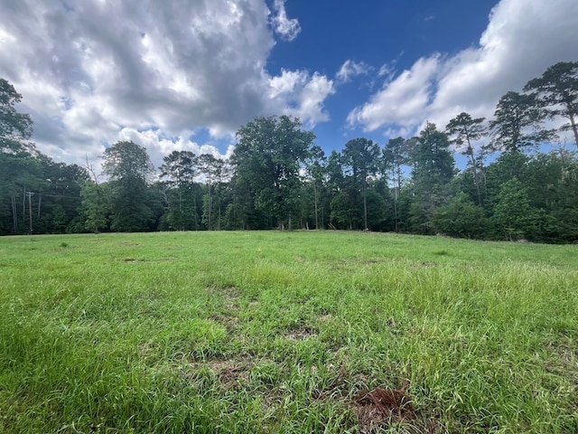 LOT1 Perrysman Glaze Rd, Huntington, TX 75949 - photo 7