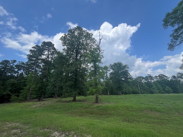 LOT1 Perrysman Glaze Rd, Huntington, TX 75949 - photo 8