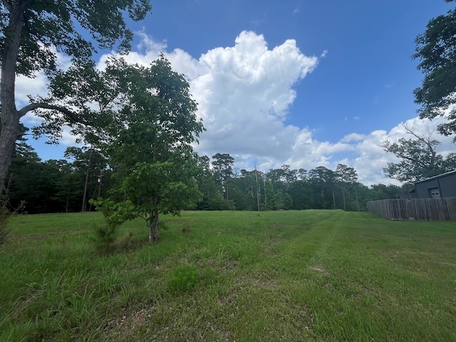 LOT1 Perrysman Glaze Rd, Huntington, TX 75949 - photo 9