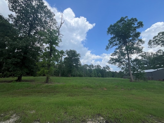 LOT1 Perrysman Glaze Rd, Huntington, TX 75949 - photo 10