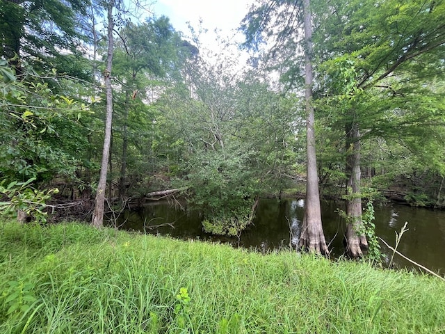 LOT1 Perrysman Glaze Rd, Huntington, TX 75949 - photo 11