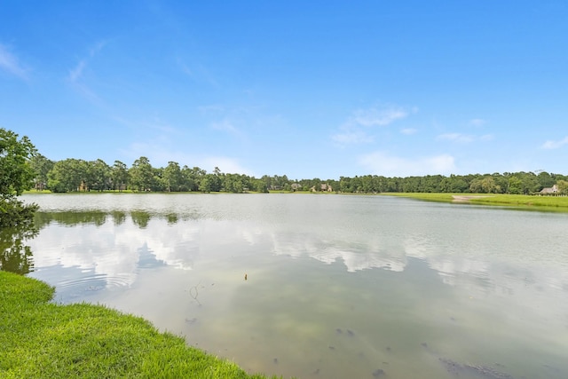 10606 Serenity Sound, Magnolia, TX 77354 - photo 45