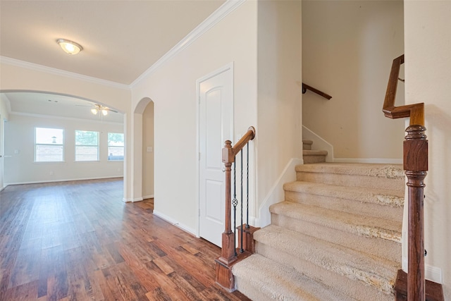 24034 Amaranto Ln, Richmond, TX 77406 - photo 4