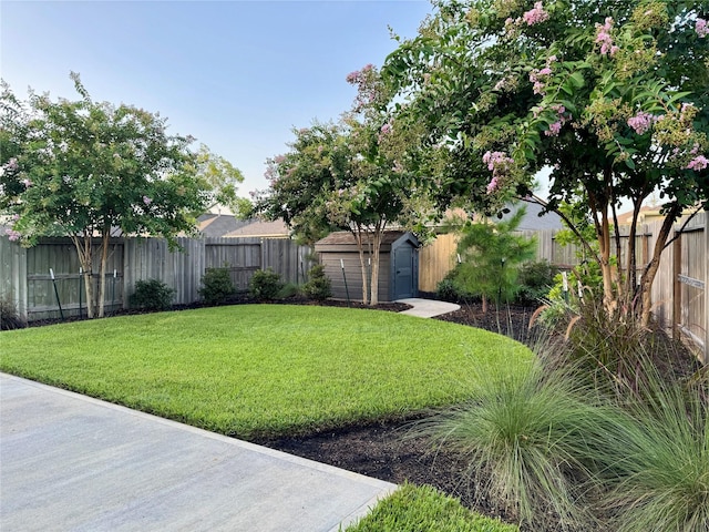 544 Chestnut Reef Ct, Conroe, TX 77304 - photo 3