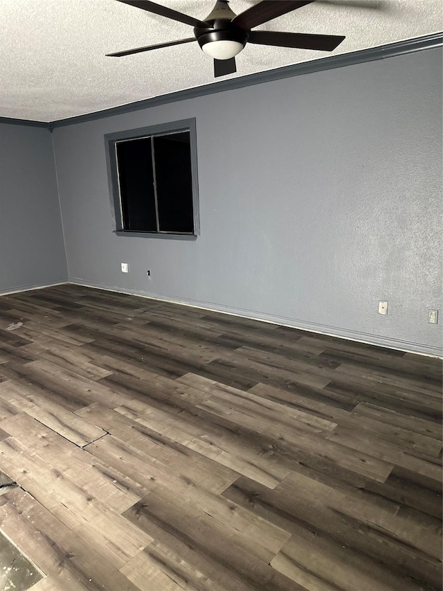 5638 Birchmont Dr Unit D, Houston, TX 77091 - photo 9