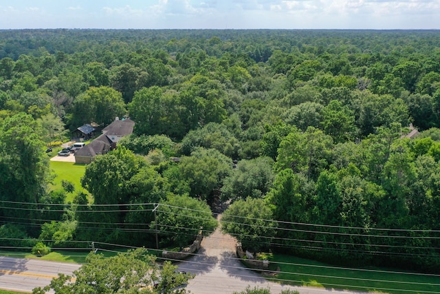 37202 Anglers Way, Pinehurst, TX 77362 - photo 48