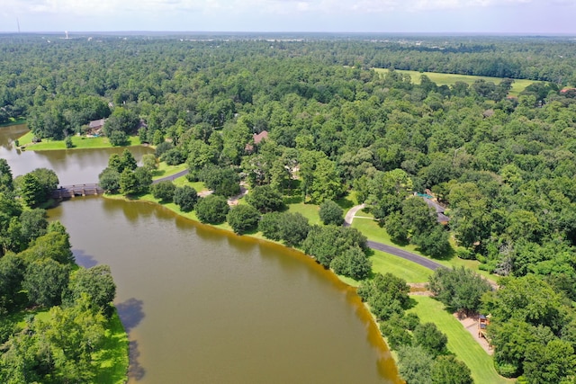 37202 Anglers Way, Pinehurst, TX 77362 - photo 49