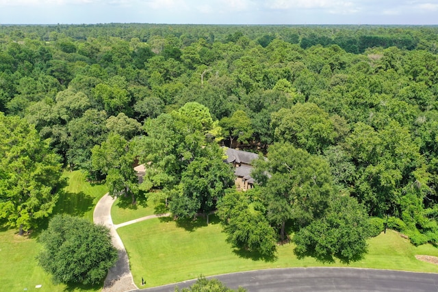 37202 Anglers Way, Pinehurst, TX 77362 - photo 45