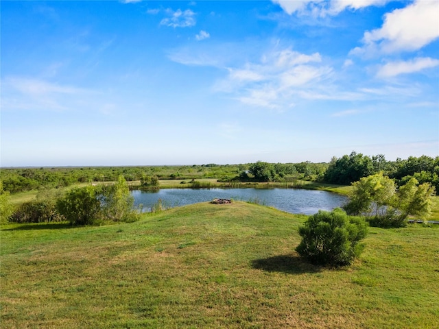 10015 S Redfish Dr, Hitchcock, TX 77563 - photo 40