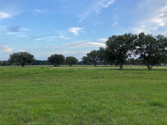 TBD2 W Fm 1093, Wallis, TX 77485 - photo 1