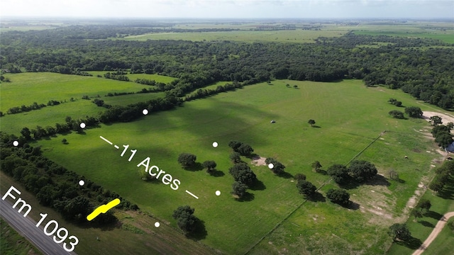 TBD2 W Fm 1093, Wallis, TX 77485 - photo 12