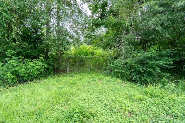 21981 White Oak Dr, New Caney, TX 77357 - photo 16