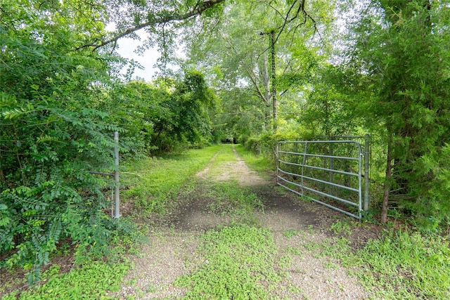 21981 White Oak Dr, New Caney, TX 77357 - photo 18