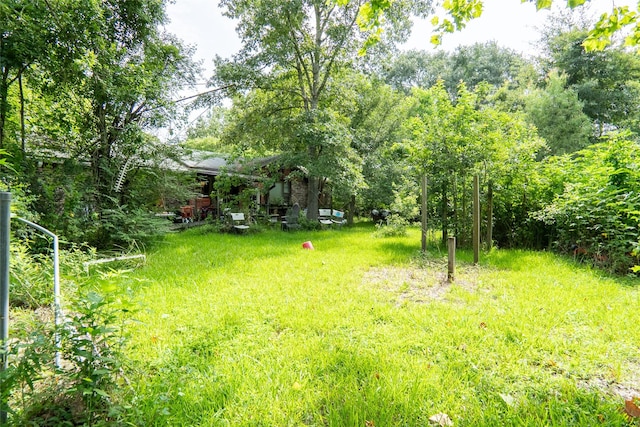 21981 White Oak Dr, New Caney, TX 77357 - photo 20
