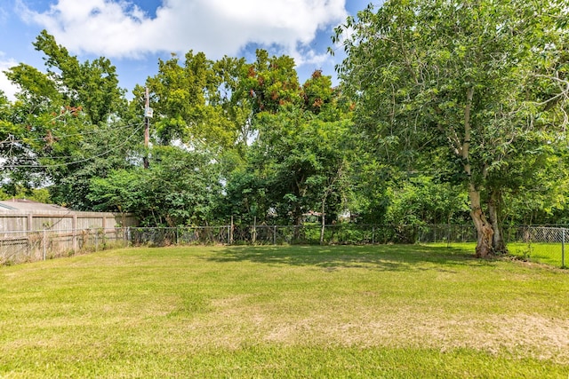 1118 Woodbine Dr, West Columbia, TX 77486 - photo 6