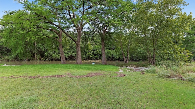 190 Oak View Ct, New Braunfels, TX 78132 - photo 26
