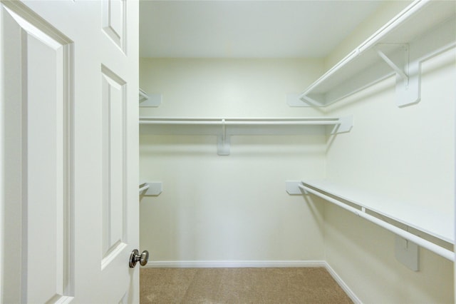 1520 Park St, Houston, TX 77019 - photo 27