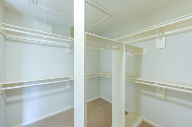 1520 Park St, Houston, TX 77019 - photo 31