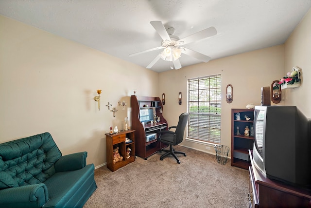907 S Peach Hollow Ct, Pearland, TX 77584 - photo 13