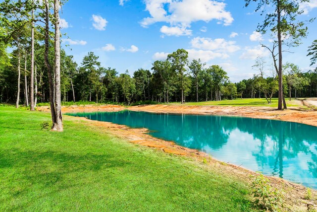 769 Lost Lk, Livingston, TX 77351 - photo 4