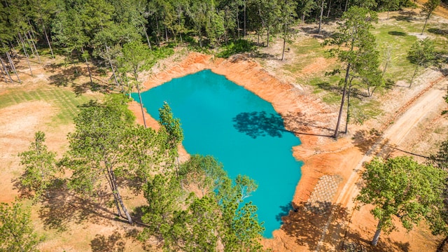 769 Lost Lk, Livingston, TX 77351 - photo 12