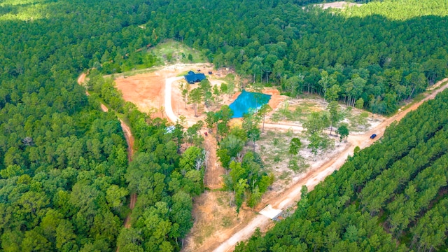 769 Lost Lk, Livingston, TX 77351 - photo 33
