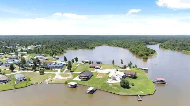 500 Laurel Cv W, Onalaska, TX 77360 - photo 6
