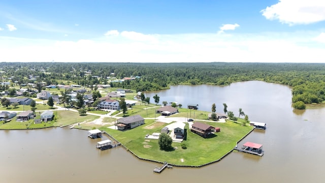 500 Laurel Cv W, Onalaska, TX 77360 - photo 7