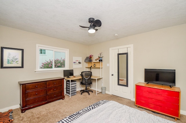 4315 Fernwood Dr, Houston, TX 77021 - photo 18