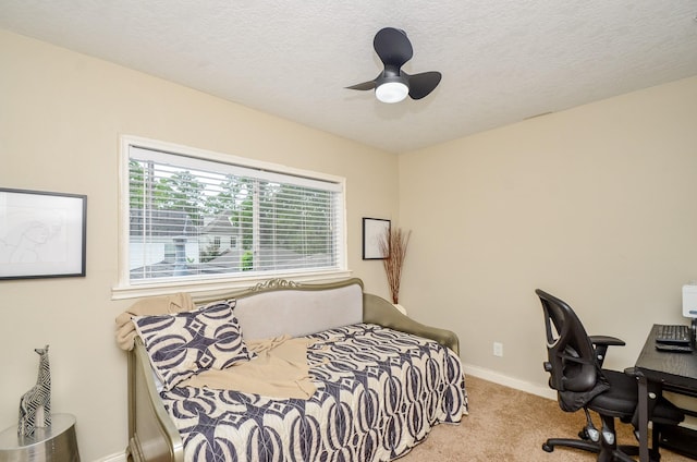 4315 Fernwood Dr, Houston, TX 77021 - photo 19