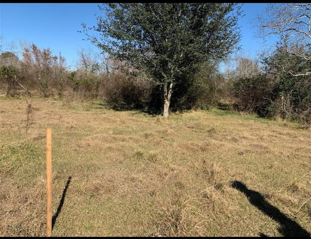 0 Nail Rd, St, Fresno, TX 77545 - photo 3