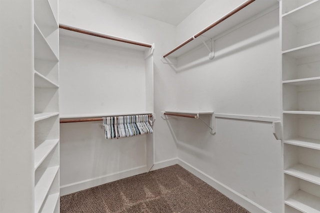 3331 New Garden View Ln, Houston, TX 77018 - photo 20