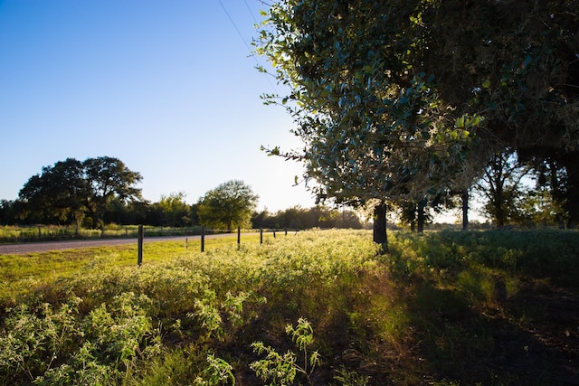 TBD Cummins Creek Rd, New Ulm, TX 78950 - photo 6