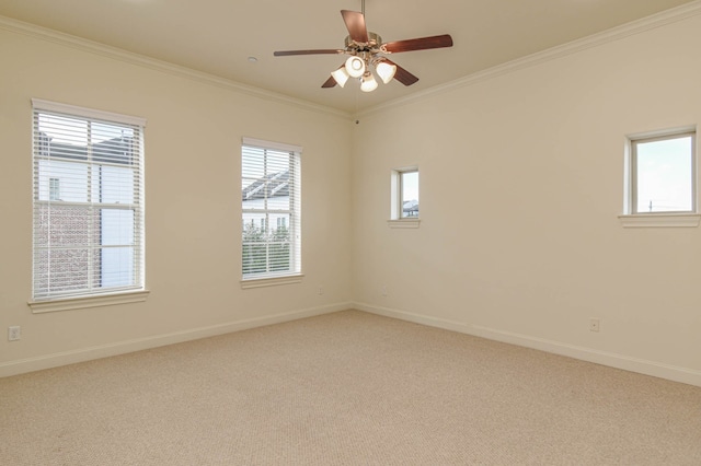 9622 Fannin Sta W, Houston, TX 77045 - photo 10