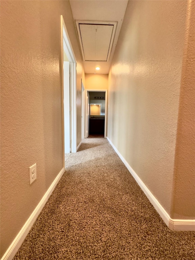 8709 Beviamo St, Houston, TX 77031 - photo 16