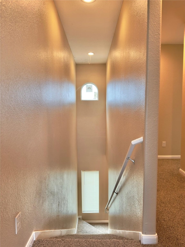 8709 Beviamo St, Houston, TX 77031 - photo 8