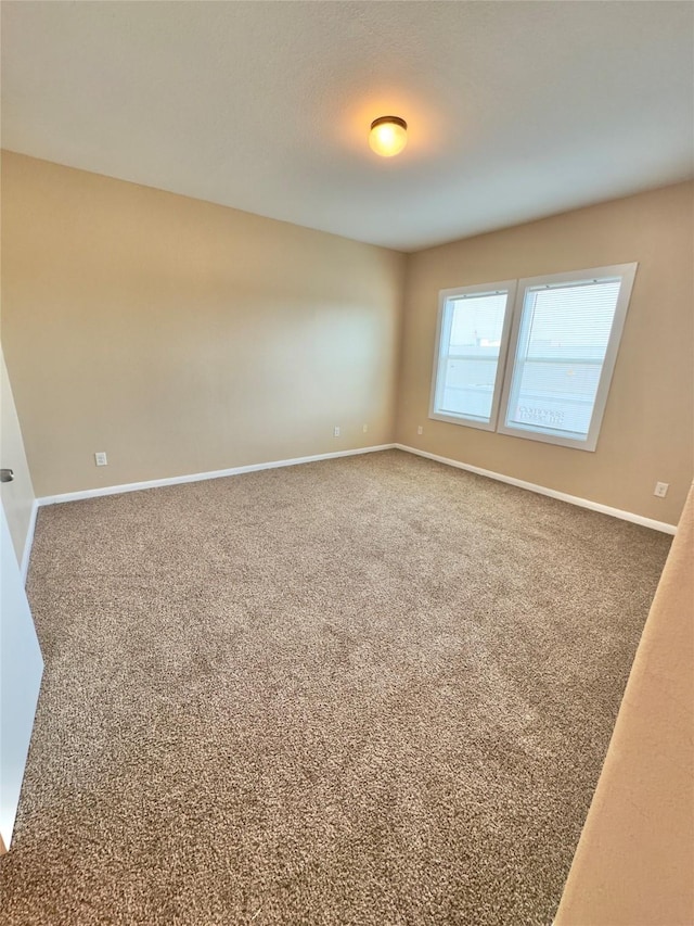 8709 Beviamo St, Houston, TX 77031 - photo 9