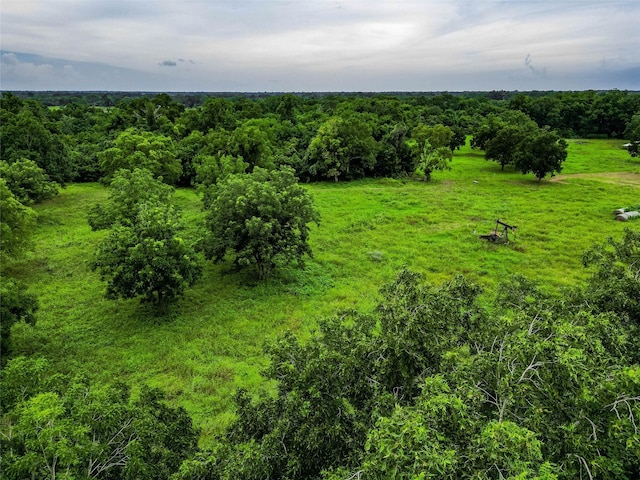38929 Sampson Rd, Brookshire, TX 77423 - photo 7
