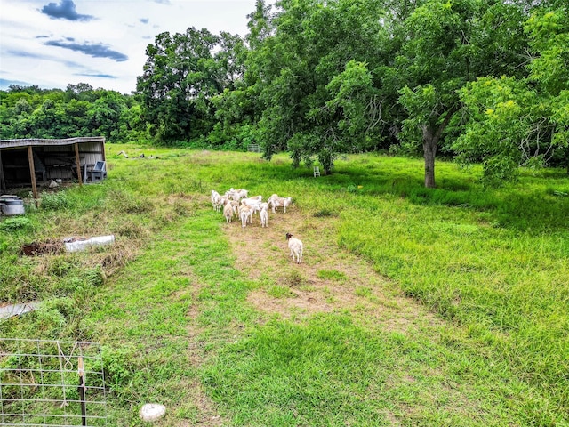 38929 Sampson Rd, Brookshire, TX 77423 - photo 8