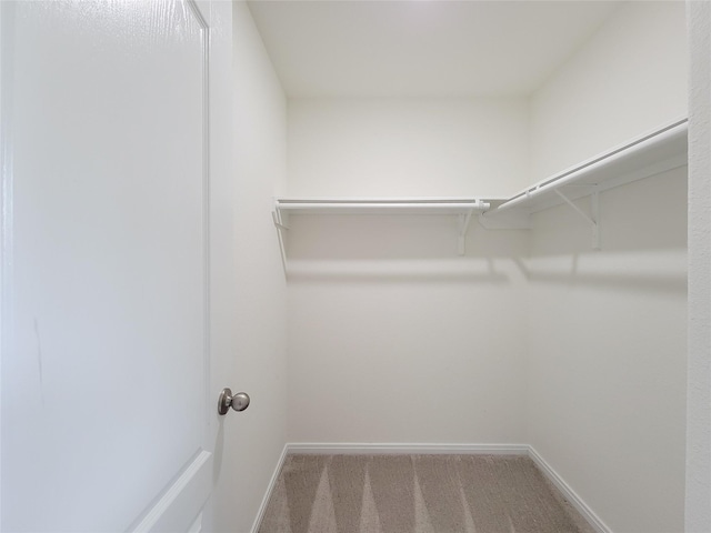 4015 Mossy Banks Ln, Houston, TX 77068 - photo 37