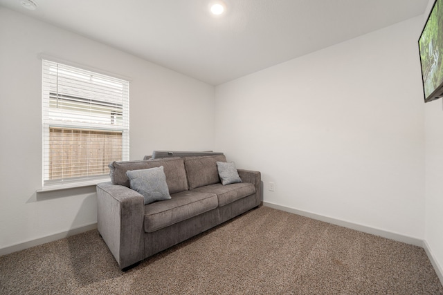 12902 Wempe Way, Houston, TX 77047 - photo 20